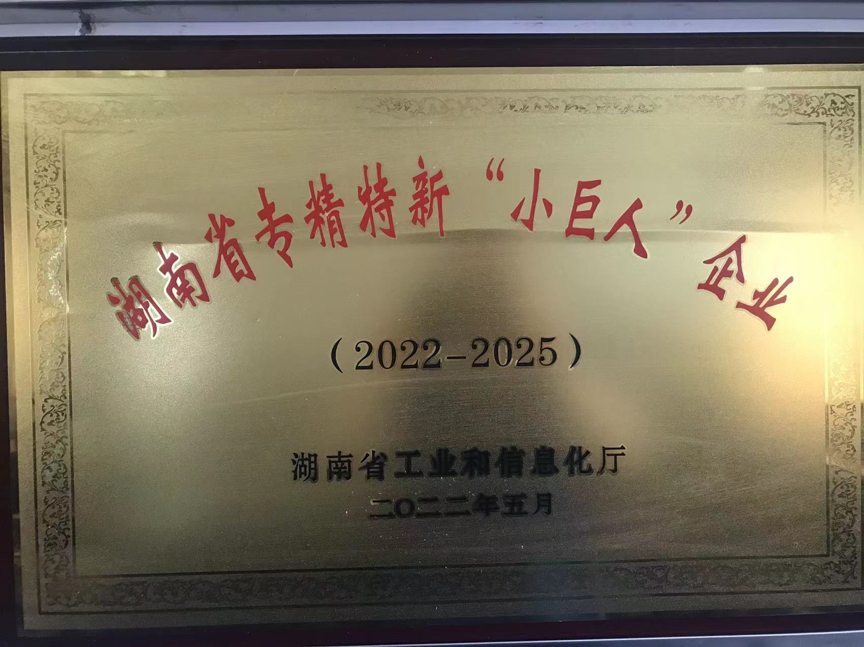 “小巨人”企业